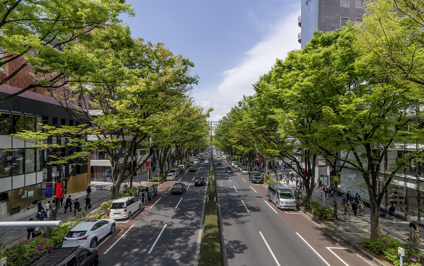 Tokyo city - consulting business development